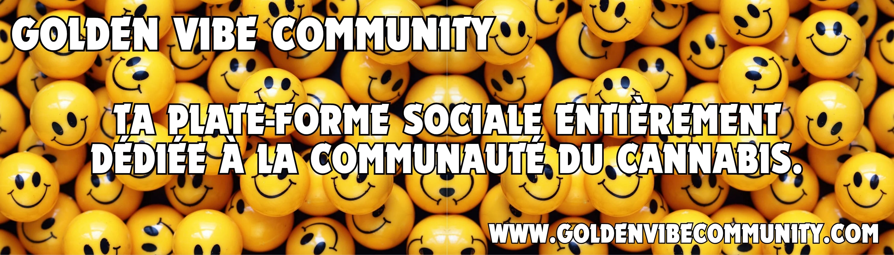 GOLDEN_VIBE_COMMUNITY_20250712_174035_0000.jpg