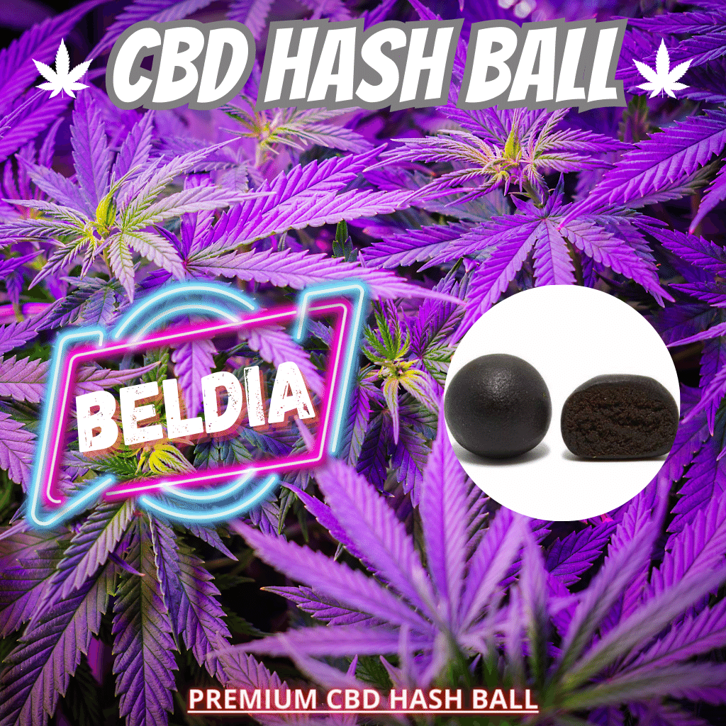 HASH BALL BELDIA